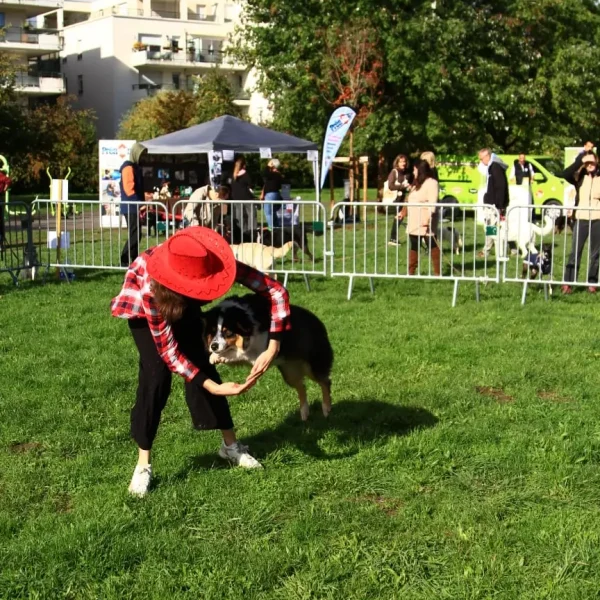 Activité canine accessible aux visiteurs du Dog Fest