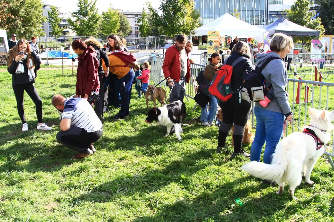 Visiteurs et chiens réunis dans l’ambiance du festival DogFest