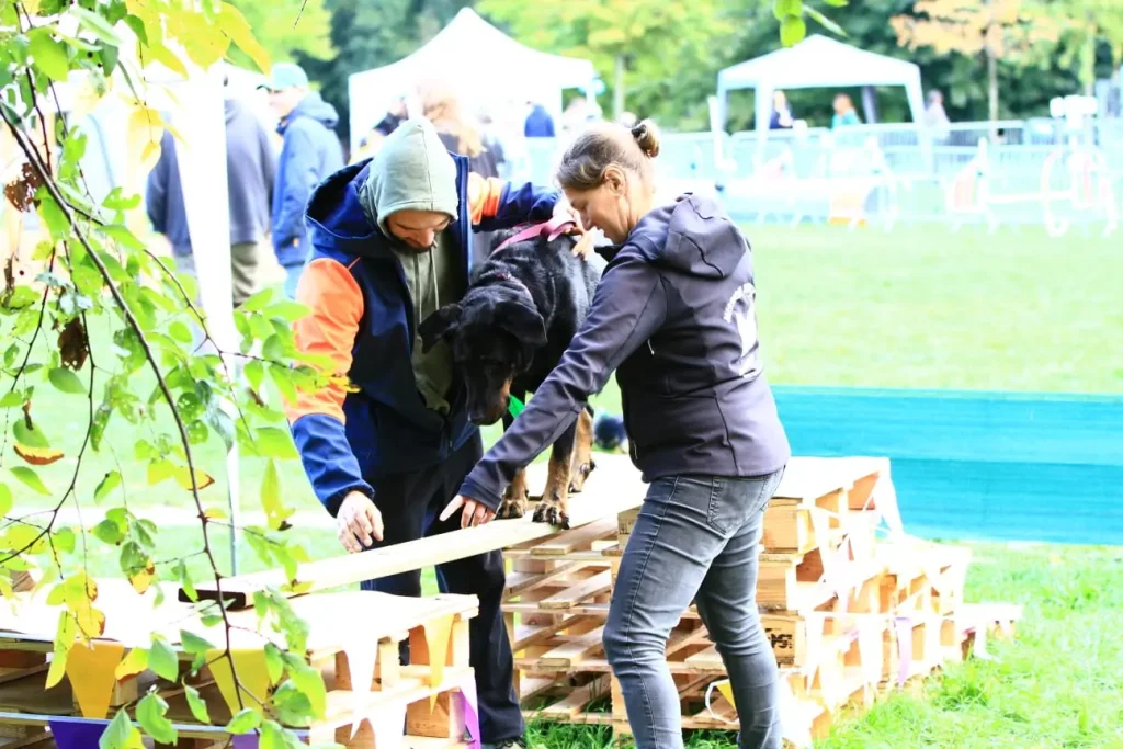 Parcours canin et espaces du Dog Fest à Bourgoin-Jallieu