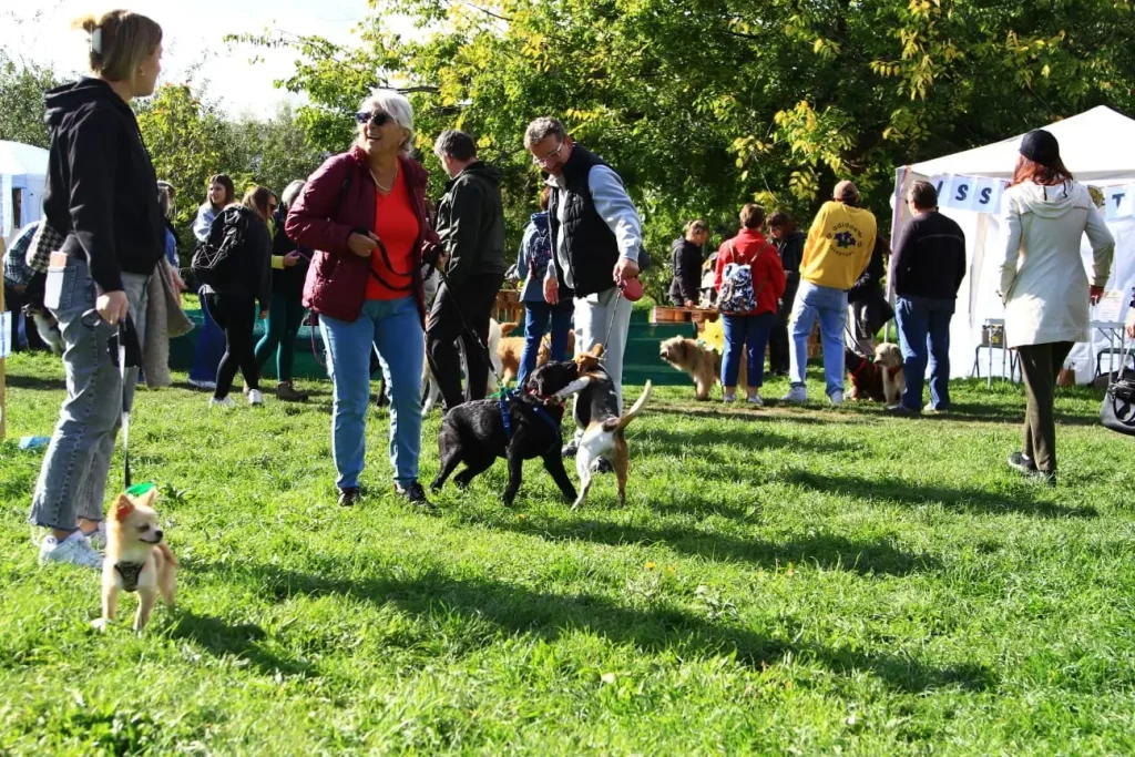 Public et familles au festival canin Dog Fest