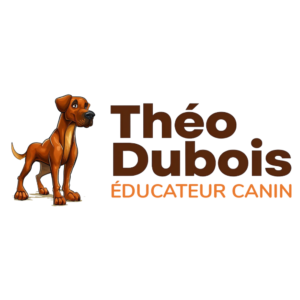 Logo Théo Dubois